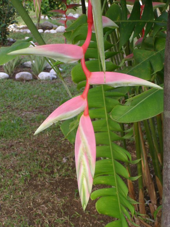 Finca Kobo Palo Seco Ngoại thất bức ảnh