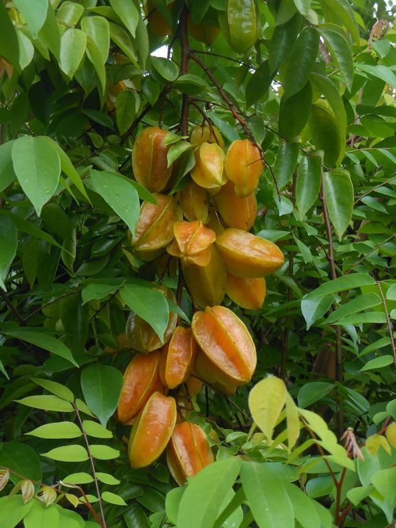 Finca Kobo Palo Seco Ngoại thất bức ảnh